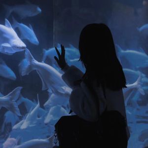 bbw欧美性HD在线
