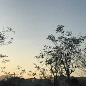 bbw欧美性HD在线
